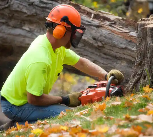 tree services Wallington